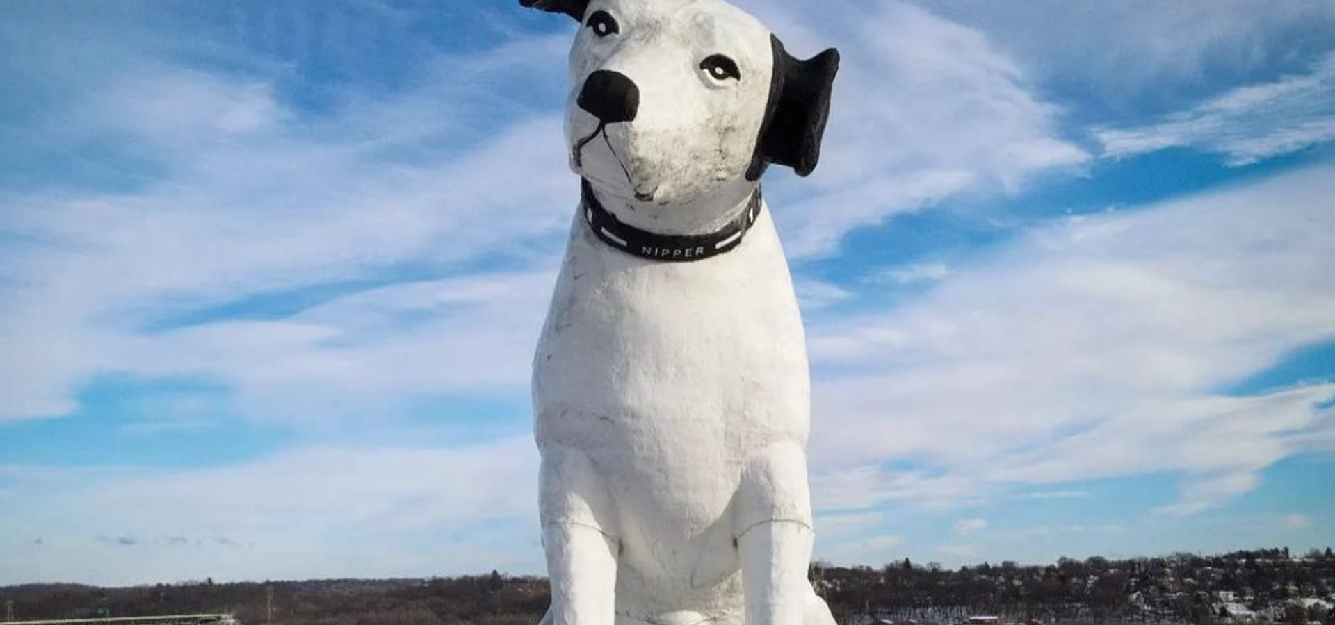 Nipper above Albany from a rooftop view.